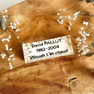 Plaque 2cm d'épaisseur - Rectangle 10x4cm