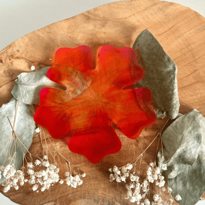 Dessous hibiscus - Orange et rose fluo