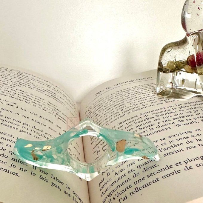 Bague de lecture n°2