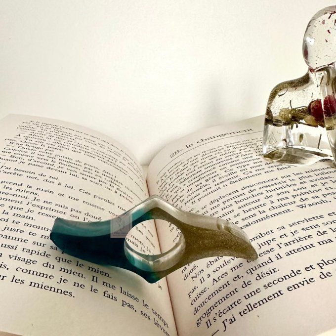 Bague de lecture n°2