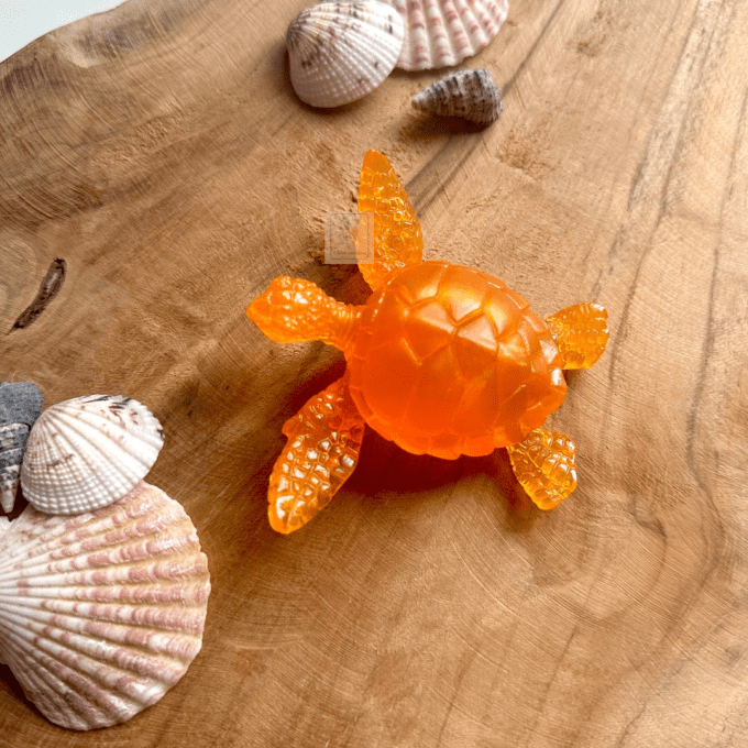 Petite tortue