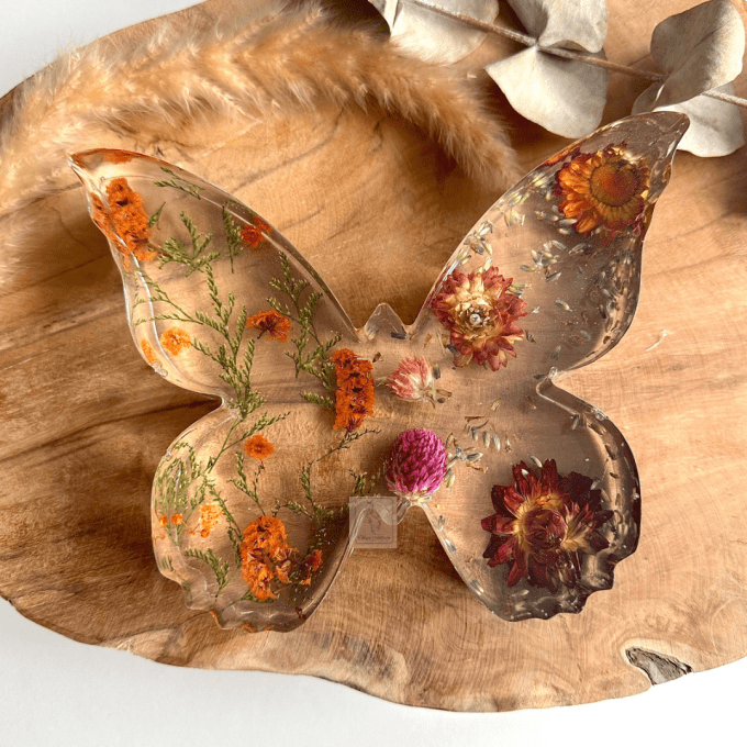 Papillon XL