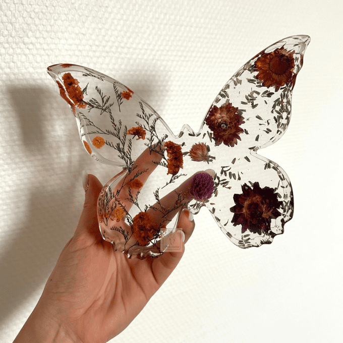Papillon XL