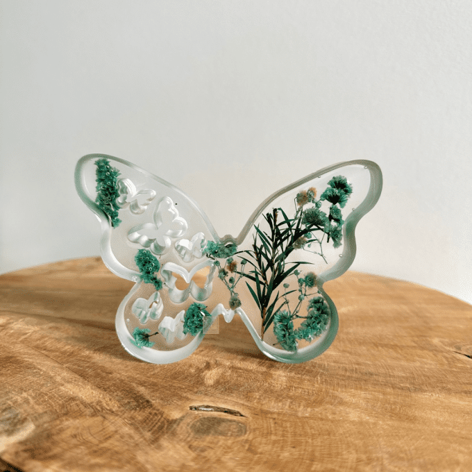 Papillon
