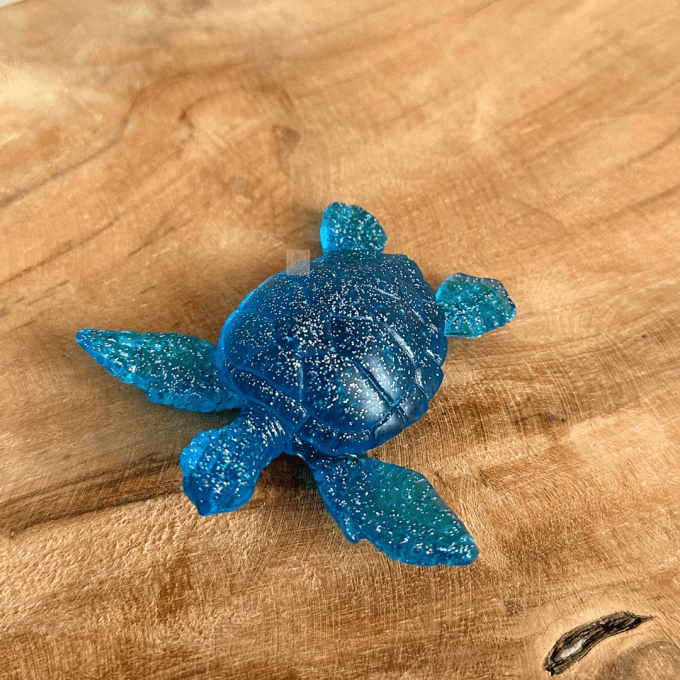 Petite tortue