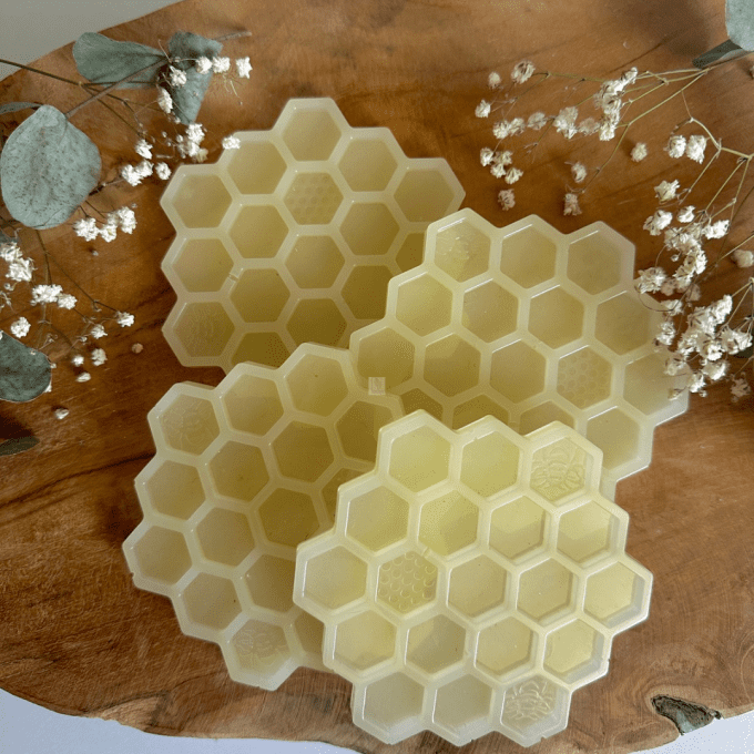 Dessous abeilles