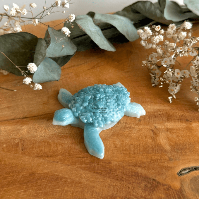 Tortue Cristal