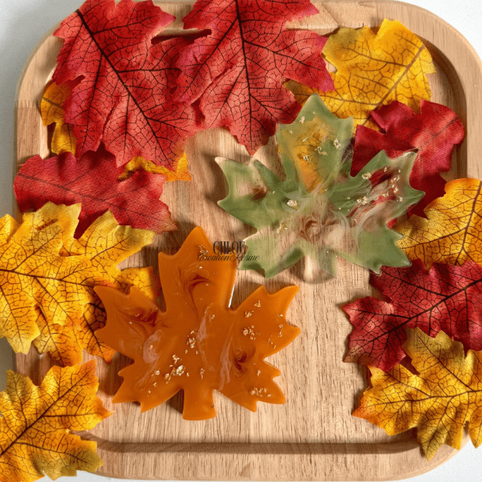 Dessous feuilles d'érables 